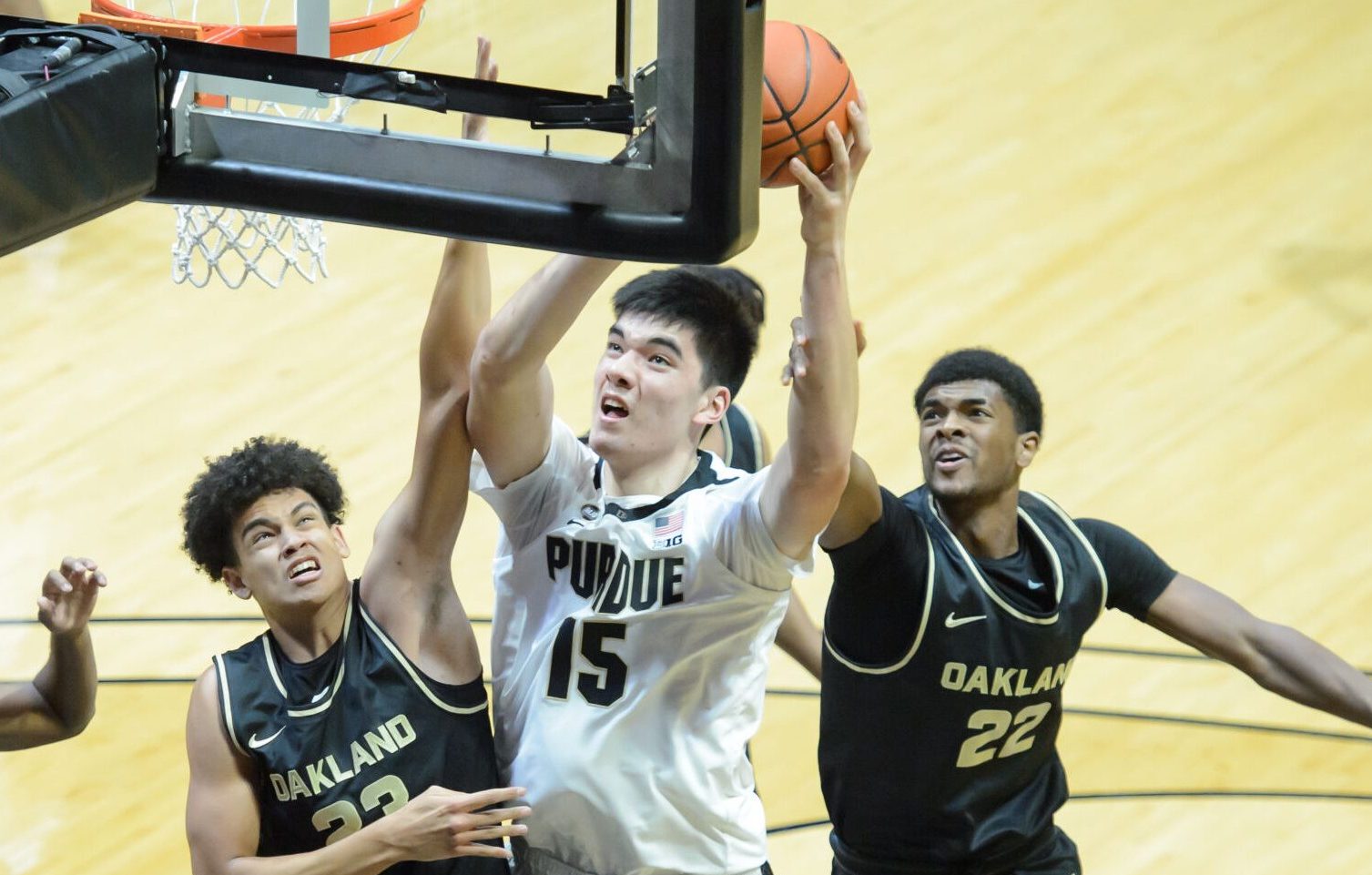 Zach Edey, il nuovo idolo di Purdue